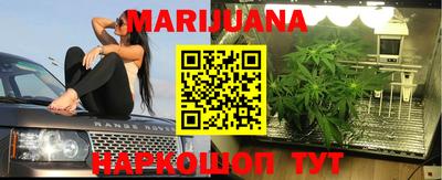 трава Сланцы