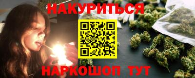 трава Сланцы
